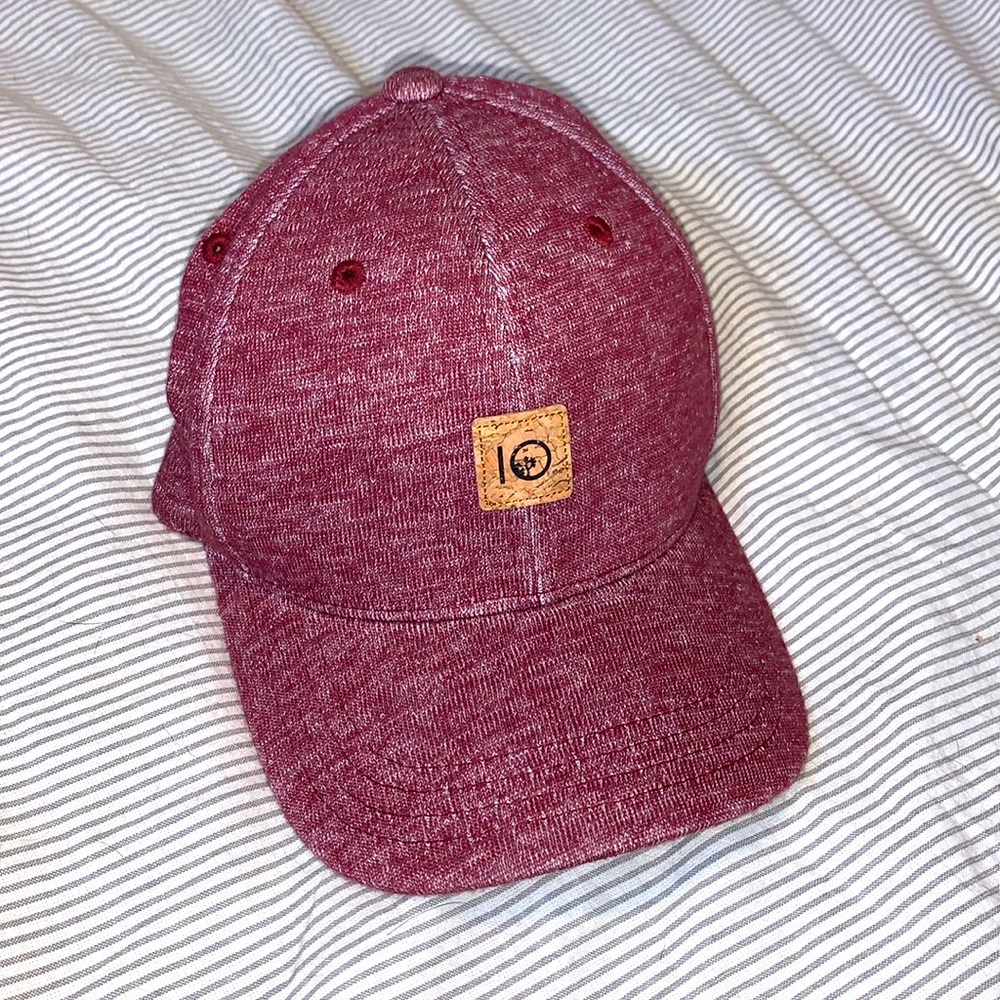 Tentree fitted knit hat